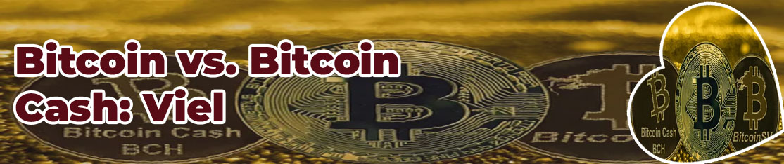 Bitcoin cash war